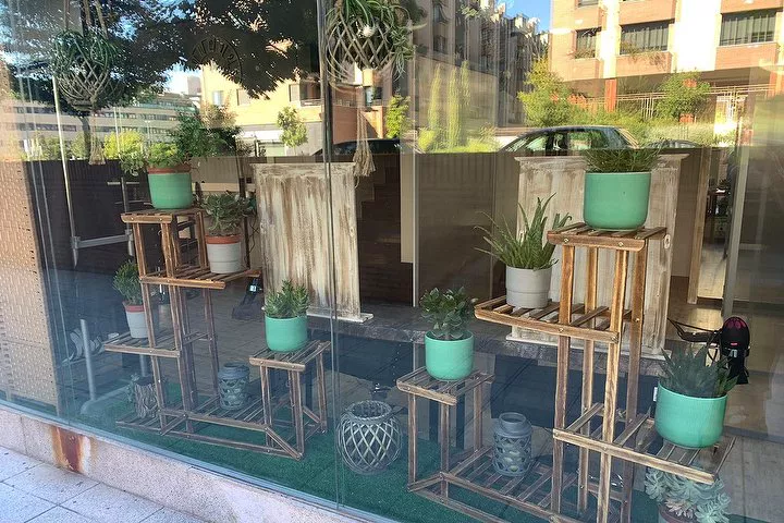 Escaparate con plantas en Las Tablas
